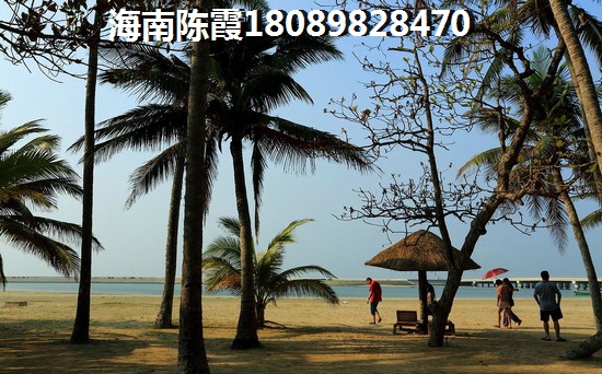 龙口海城广场山东龙口融创东海湾 三居  户型图