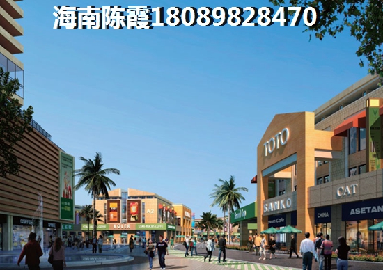 碧桂园十里金摊精美1居室 一居 62.5㎡ 户型图