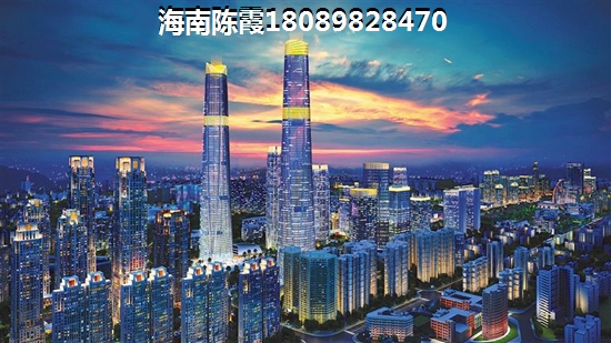 港汇蓝海国际平行观海平台 一居 41-63㎡ 户型图