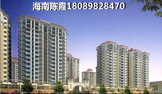 高速蔚蓝海岸 一居  户型图