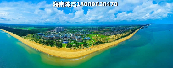 高速蔚蓝海岸 一居  户型图