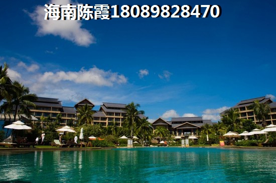 烟台海阳福邸金海翠林 一居 50平㎡ 户型图
