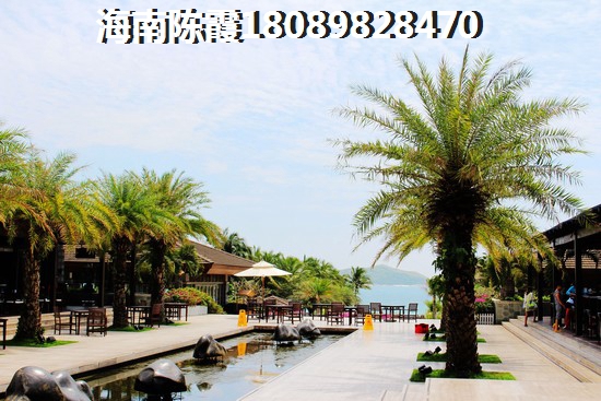 金海金城 一居  户型图