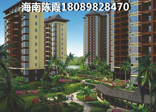 原石滩 一居  户型图