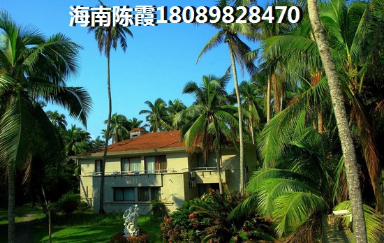 天鸿凯旋城 四居  户型图