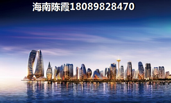 金港湾一线海景产权公寓 一居  户型图