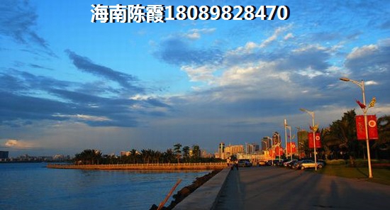 金港湾一线海景产权公寓 一居  户型图