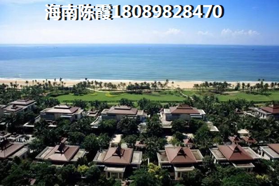 樱花国际 一居  户型图