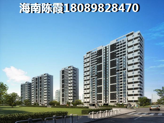 凤凰八佰海巢 两居  户型图