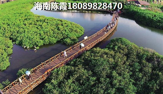 龙族海景小区 景观园林 