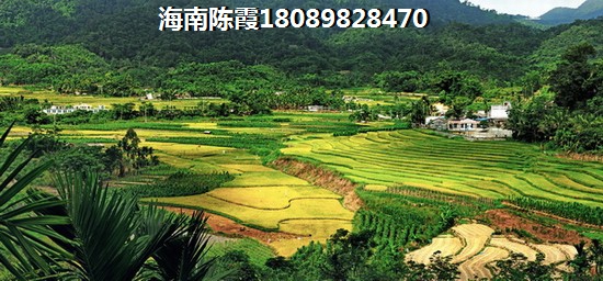 佛光山景温泉花园 建筑规划 